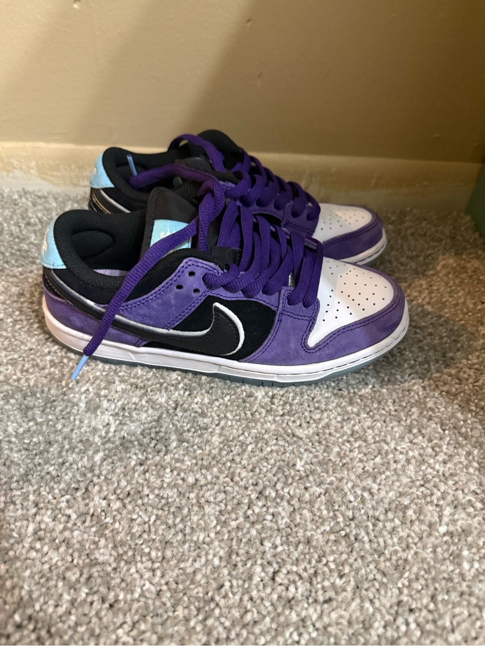 EUC Nike Dunk Low SB Hayley Wilson Court Purple